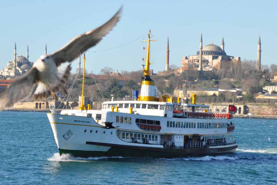 A ferry and seagulls near the old city